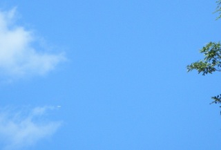 ���m�F��s���́H