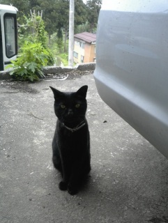 �Ȃ񂩃W�W���ۂ��ˁH