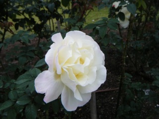 �����o��