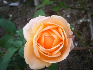 ���F���o��