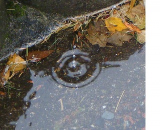 �ۂ���[��