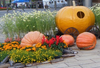 �{�͉߂���