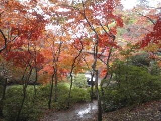 �����̗\��