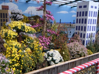 �̂ǂ�������