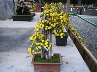 �����܂�