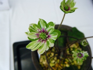 �������o�Ζ������o��