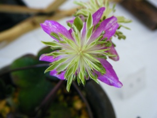 ���E�E�E�E