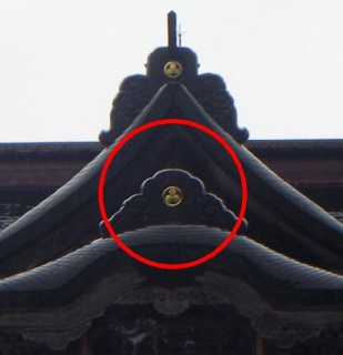 ����������񂿂��