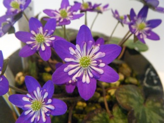 �����̖��@�Ƃ��Ƃ����V�[�Y�����B