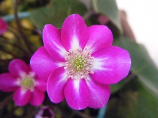 �����̃j���[�X