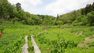 �������T