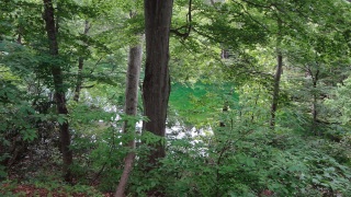 �����Ƃ�