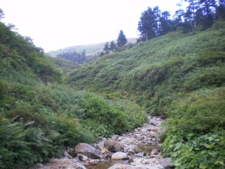 ����t�߂Ȃ̂ɐ삪����E�E�E