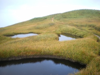 ����t�߂̐����܂�