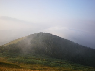 �_���オ���Ă���