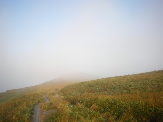 ���悢��K�X���Ă���