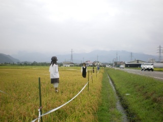 ���R�������R�V�q�J���́i���́j��m����