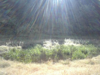 �R���̌���r